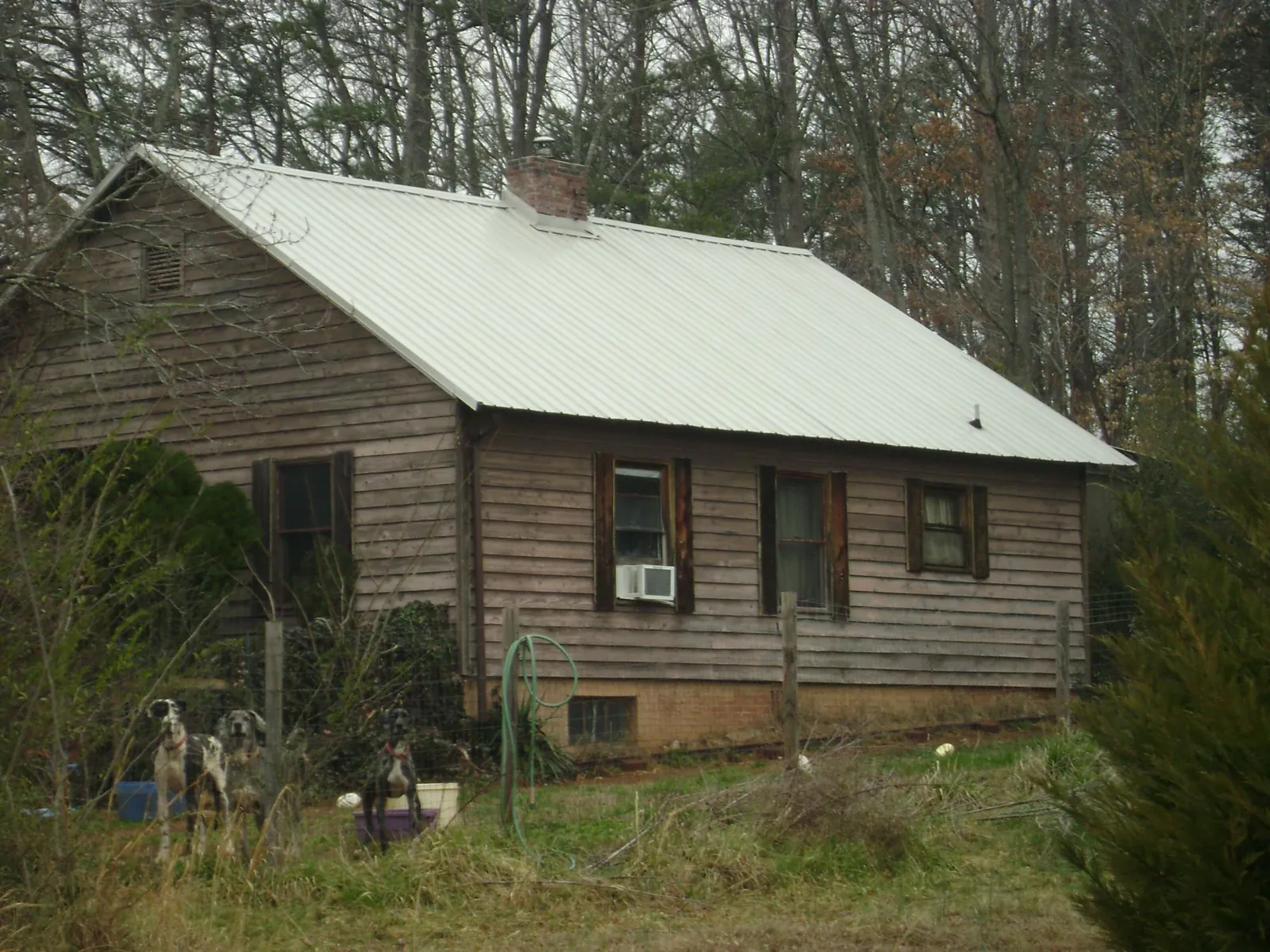 White metal roof on an old wood sided farmhouse, from a Metal Roof Installation job in Elkwood
